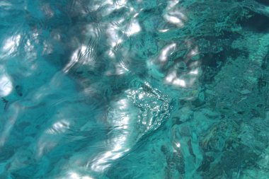 Kızıldeniz, dünyanın en saf