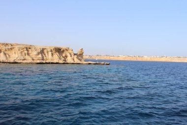 Ölü deniz tuzlu kıyısı. Vahşi doğa. Tropik bir manzara. Yaz zamanı.