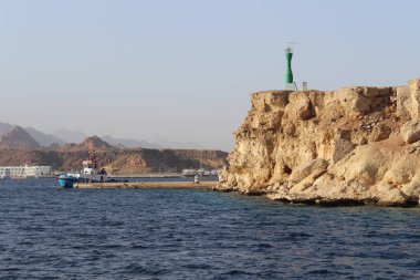 Ölü deniz tuzlu kıyısı. Vahşi doğa. Tropik bir manzara. Yaz zamanı.