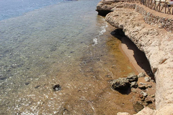 Kust Van Rode Zee Egypte — Stockfoto
