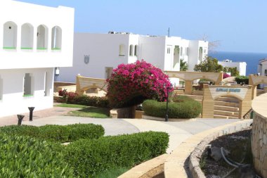 Mısır'daki otel alanında güzellik