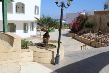 Mısır'daki güzel yerleri. Sharm El Sheikh