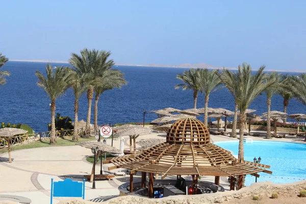 Belleza Zona Del Hotel Egipto — Foto de Stock