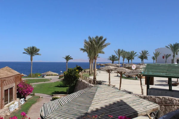 Côte Mer Rouge Sharm Sheikh Egypte Sinaï — Photo