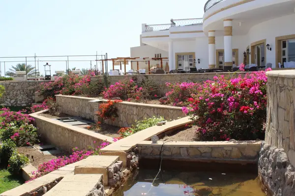 Bellissimo Giardino Egitto Sharm Sheikh — Foto Stock