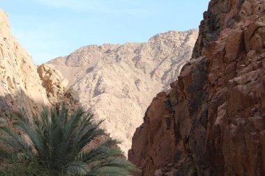 Güzel kanyon, Mısır'daki dağlar. Bir Sharm el-Sheikh