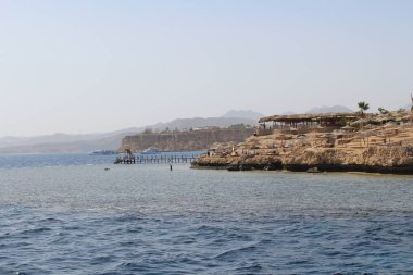 Mısır'ın Kızıldeniz kıyısında