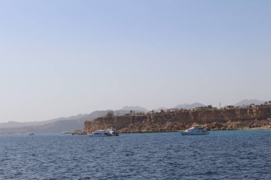 Mısır'ın Kızıldeniz kıyısında