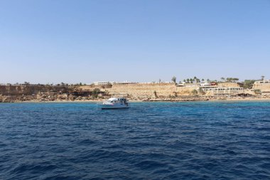 Mısır'ın Kızıldeniz kıyısında