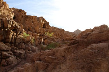 Güzel kanyon, Mısır'daki dağlar. Bir Sharm el-Sheikh