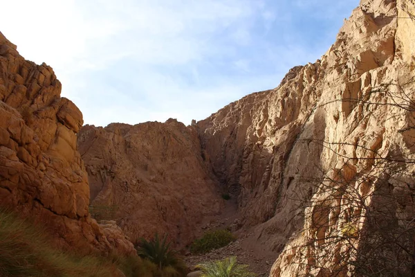 Răsărit Soare Uimitor Muntele Sinai Zori Frumoase Egipt Vedere Frumoasă — Fotografie, imagine de stoc