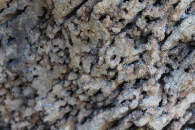 Mısır, Güneş'in ülke toprak toprak