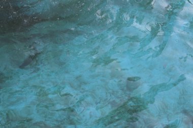 Nil Nehri üzerinde günbatımında Aswan, Mısır'da görüntüleyin.