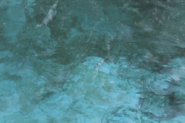 Tatlı su havuzu otel topraklarının üzerinde