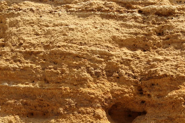 The soil of Egypt, the soil in the country of the sun