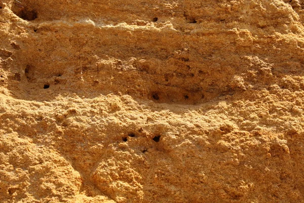 The soil of Egypt, the soil in the country of the sun