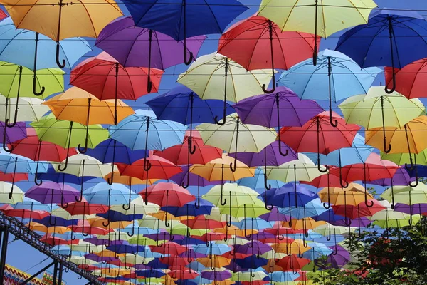 Palette Des Glücks Bunte Regenschirme Hintergrund Bunte Regenschirme Auf Der — Stockfoto