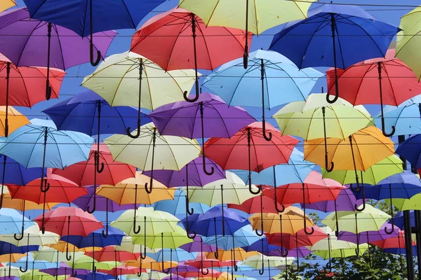 Şemsiye büyük, bir renk paleti. Aleya