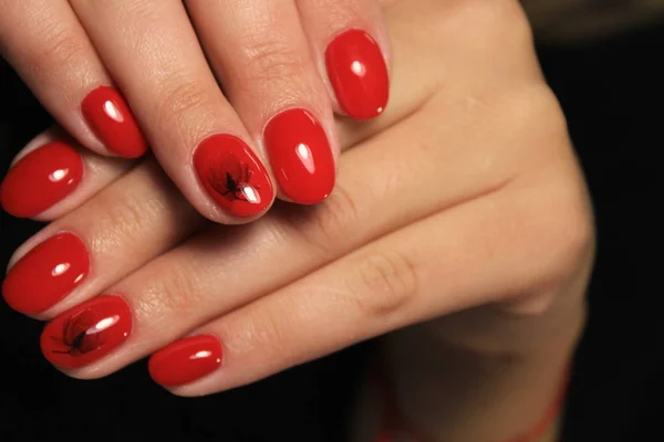 Mani Delle Donne Con Una Manicure Elegante — Foto Stock