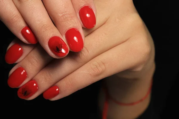 Mãos Mulher Com Uma Manicura Elegante — Fotografia de Stock