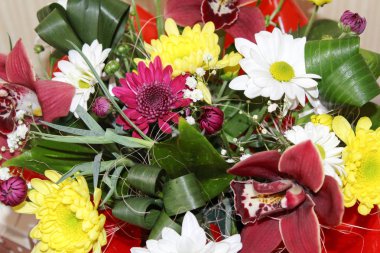 Hediye kutusu ile güzel orkide çiçekler. Kızlar için