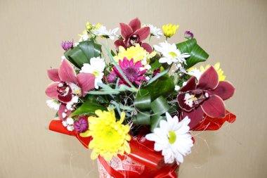 Sevgililer günü çiçek orkide için bir hediye. Kızlar için