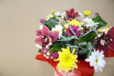 Sevgililer günü çiçek orkide için bir hediye. Kızlar için