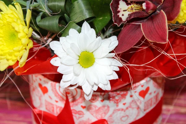 Gift Box Beautiful Orchid Flowers Girls — Stock Photo, Image