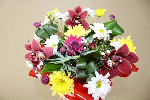 Hediye kutusu ile güzel orkide çiçekler. Kızlar için