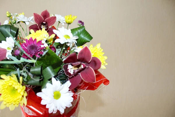Coffret Cadeau Avec Belles Fleurs Orchidée Pour Les Filles — Photo