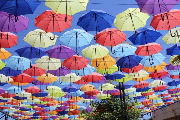 Eine Große Farbpalette Von Regenschirmen Aleya — Stockfoto