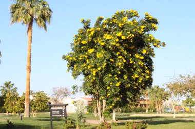 Nil Nehri üzerinde günbatımında Aswan, Mısır'da görüntüleyin.