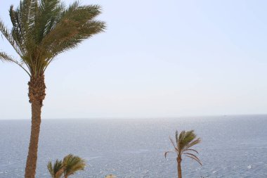 avuç içi ve bungalow hotel Hurghada, Mısır