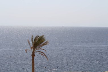Nil Nehri üzerinde günbatımında Aswan, Mısır'da görüntüleyin.