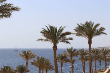 avuç içi ve bungalow hotel Hurghada, Mısır