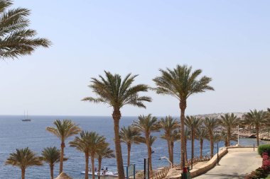 avuç içi ve bungalow hotel Hurghada, Mısır