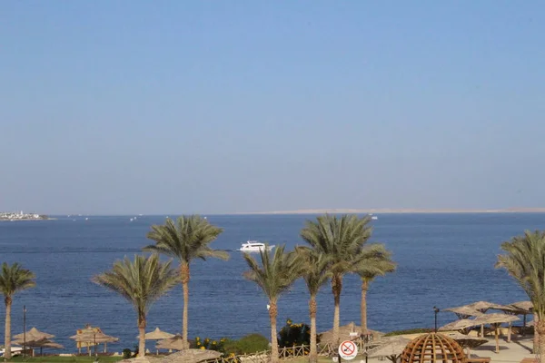 Palmiers Bungalows Hurghada Egypte — Photo