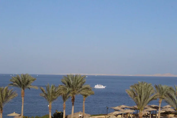 Vista Sobre Río Nilo Atardecer Asuán Egipto — Foto de Stock