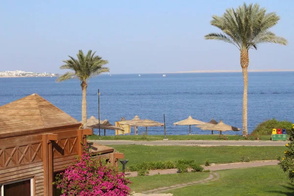 Red Sea Coastline Sharm Sheikh Egypt Sinai — Stock Photo, Image
