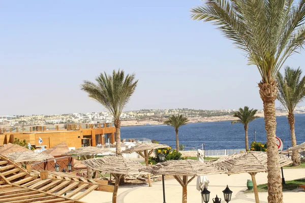 Lugares Bonitos Egito Sharm Sheikh — Fotografia de Stock