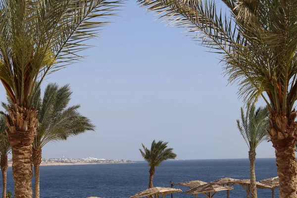 Mooie Plaatsen Egypte Sharm Sheikh — Stockfoto