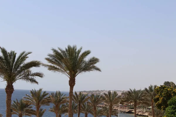 Vista Sobre Río Nilo Atardecer Asuán Egipto — Foto de Stock