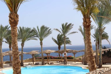 Nil Nehri üzerinde günbatımında Aswan, Mısır'da görüntüleyin.