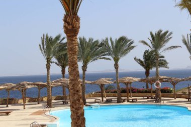 Mısır'daki güzel yerleri. Sharm El Sheikh