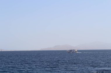 Kızıldeniz, dünyanın en saf