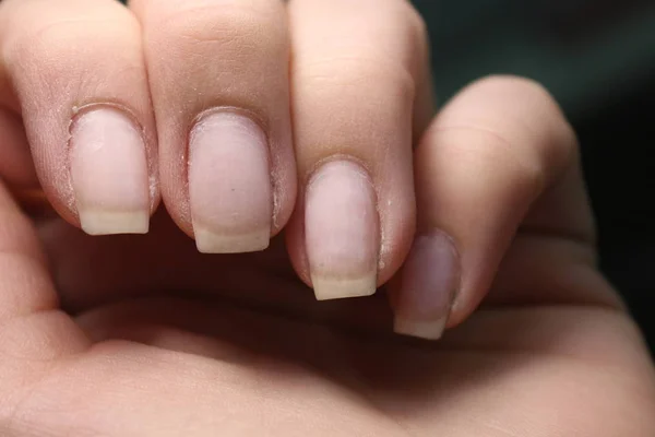 Sexy manicure of nails — Stock Photo, Image