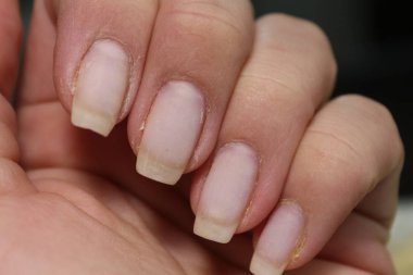 Doğal çivi güzellik. Mükemmel temiz manikür