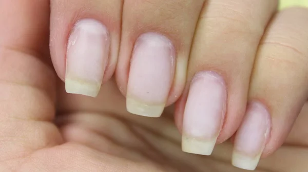 Sexy manicura de uñas en hermosas manos femeninas — Foto de Stock