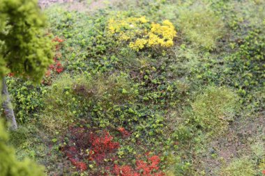 Arka plan, hurda malzemelerden yapılmış kapak. Çim