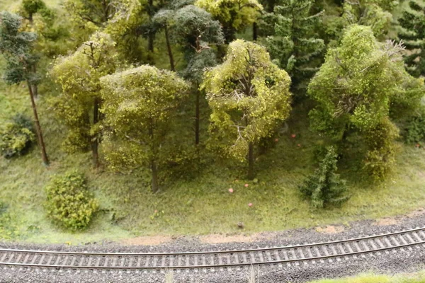 Doğa arka planda oyuncak demiryolu izler